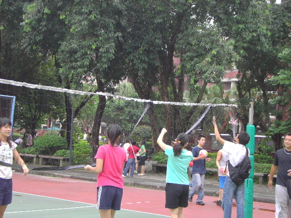 PICT3517.JPG