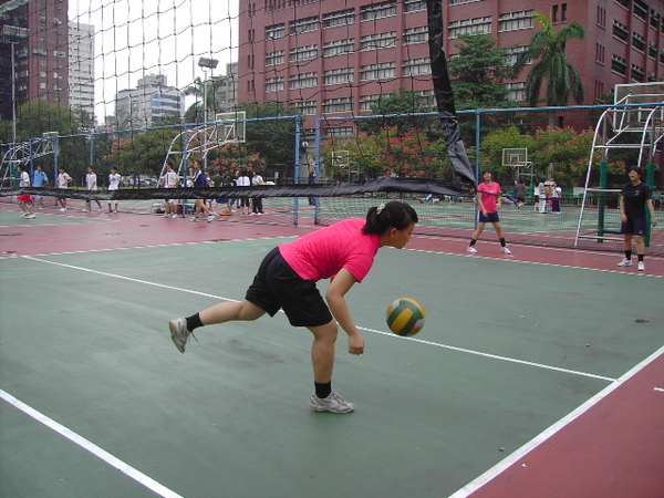 PICT3530.JPG