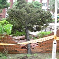 PICT3578.JPG