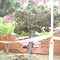 PICT3579.JPG