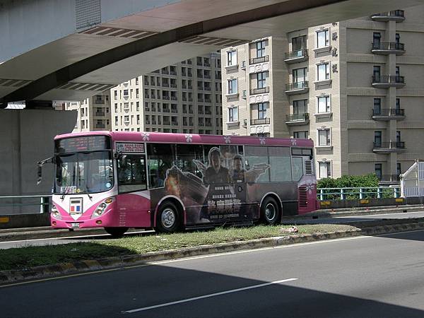 台北櫻花BUS03.JPG