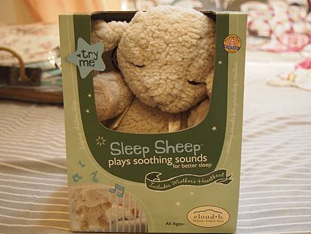 sleep sheep