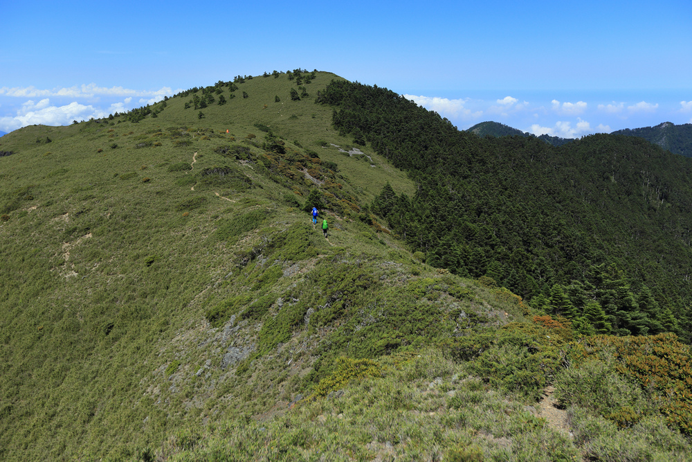 雪山西稜 D5～大雪山、匹匹達山與28.5k營地