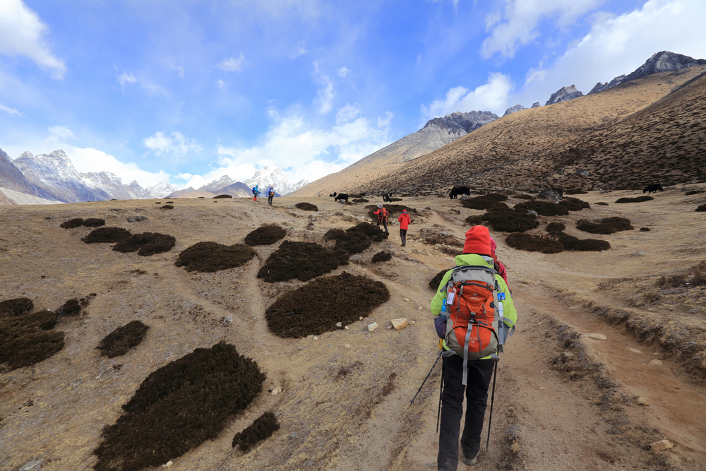 尼泊爾：聖母峰基地營健行 -6 Dingboche（丁波崎）