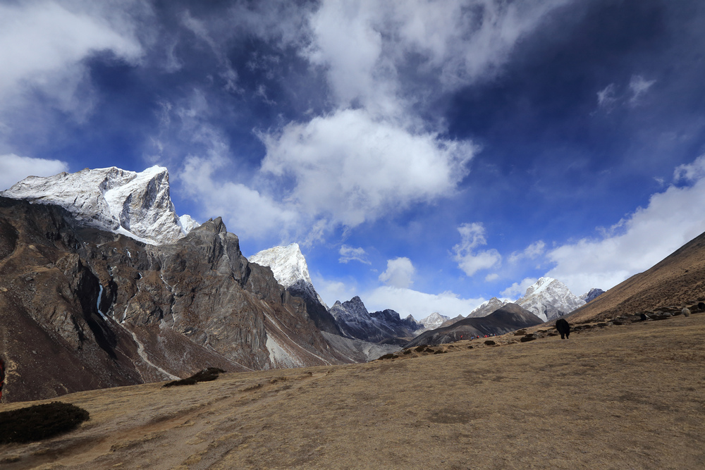 尼泊爾：聖母峰基地營健行 -6 Dingboche（丁波崎）