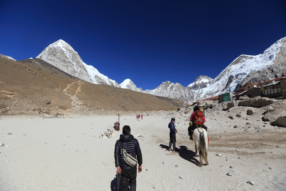 尼泊爾：聖母峰基地營健行 -7 Lobuche（羅布崎）→G