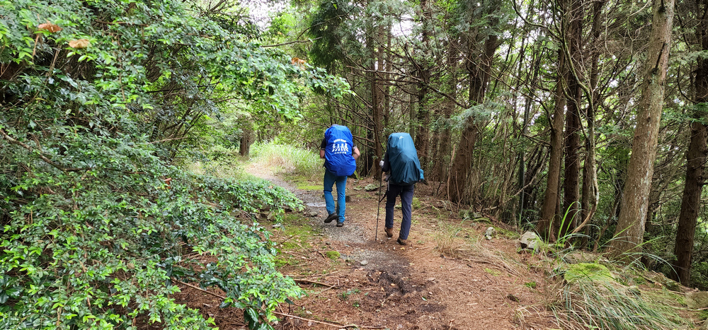 雪山西稜 D6-8～中雪山與230林道