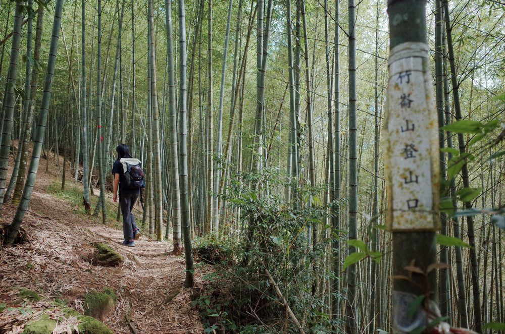 溪頭：嶺頭山、金柑樹山、溪頭山、竹崙山、志騰山