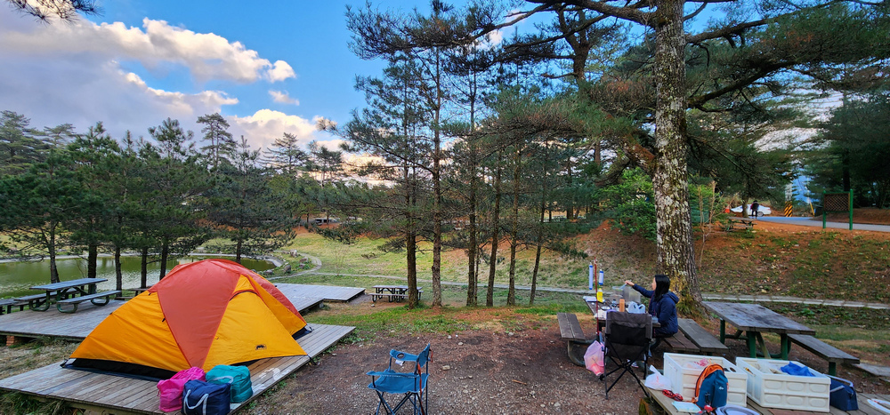 冬季的山區小旅行：南橫、福壽山、合歡溪古道