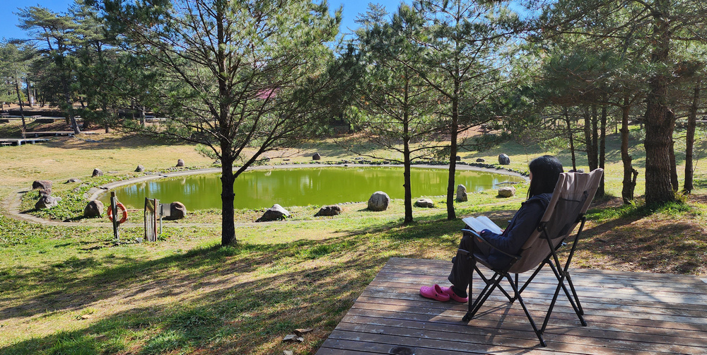 冬季的山區小旅行：南橫、福壽山、合歡溪古道