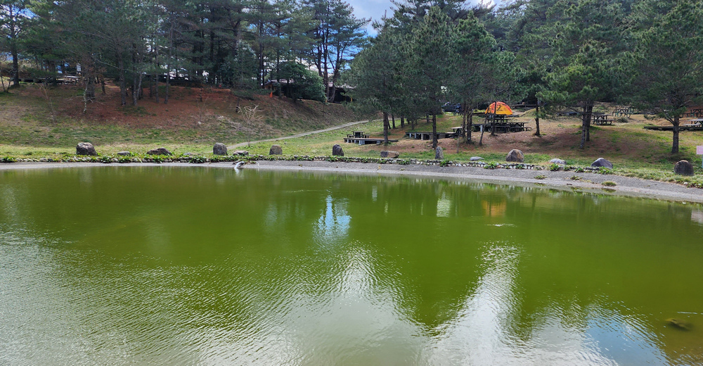 冬季的山區小旅行：南橫、福壽山、合歡溪古道