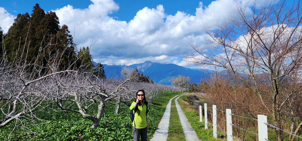 冬季的山區小旅行：南橫、福壽山、合歡溪古道