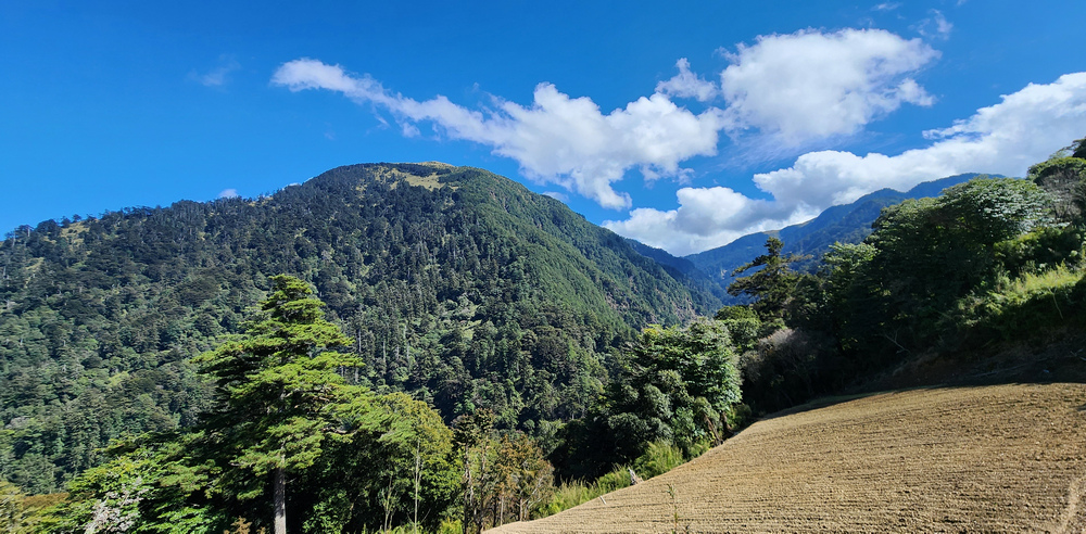 冬季的山區小旅行：南橫、福壽山、合歡溪古道