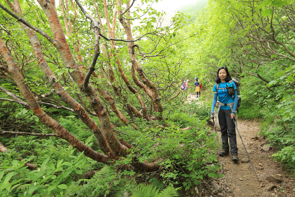 日本：後立山連峰之1～ 從八方尾根上唐松岳