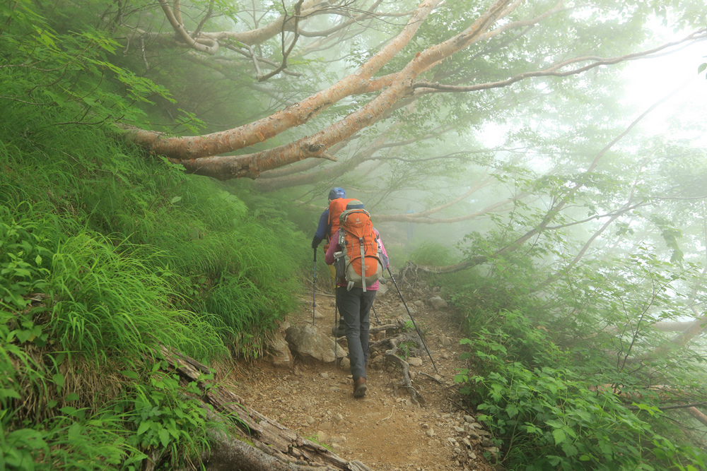 日本：後立山連峰之1～ 從八方尾根上唐松岳