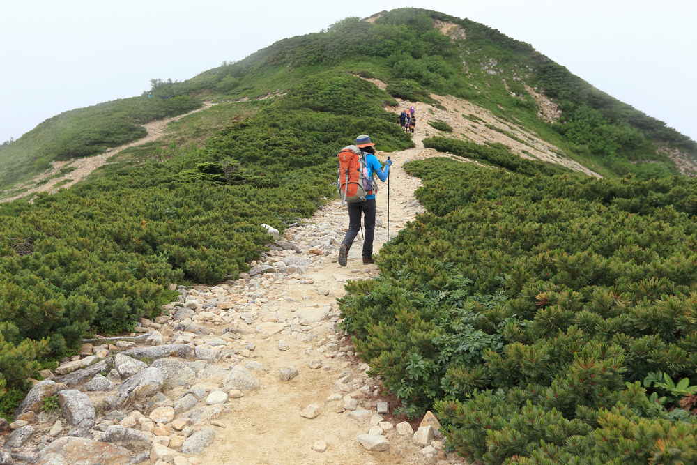 日本：後立山連峰之1～ 從八方尾根上唐松岳