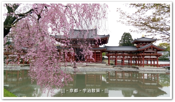 IMG_20150406_112907.jpg IMG_20150406_112907.jpg