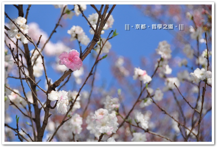 DSC_3803.JPG DSC_3803.JPG