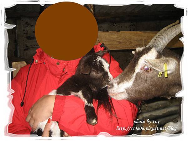 baby goat2 009-2.jpg