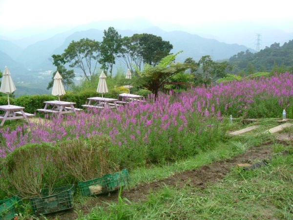 風景