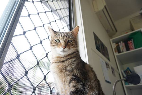 DSC06542.JPG DSC06542.JPG