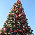 pier 39 xmas tree.JPG