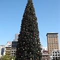 union square xmas tree.JPG