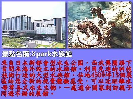桃園18-Xpark水族館.jpg