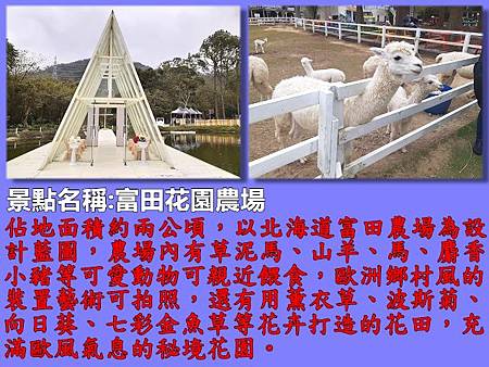 桃園37-富田花園農場.jpg