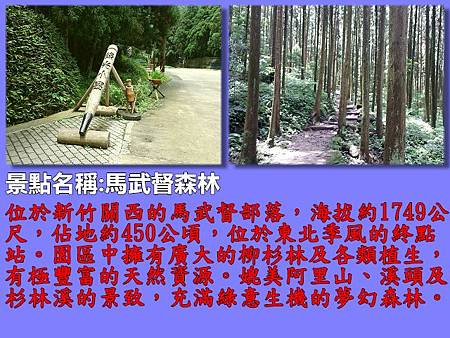 新竹1-馬武督森林.jpg