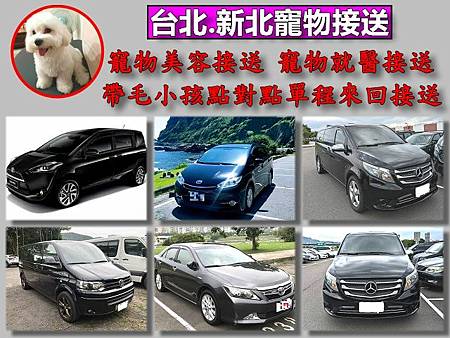 33台北.新北寵物接送.jpg