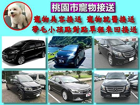 35桃園市寵物接送.jpg
