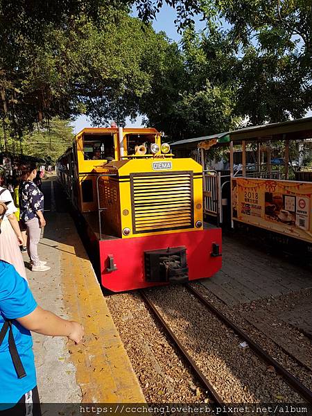 蒜頭糖廠五分車