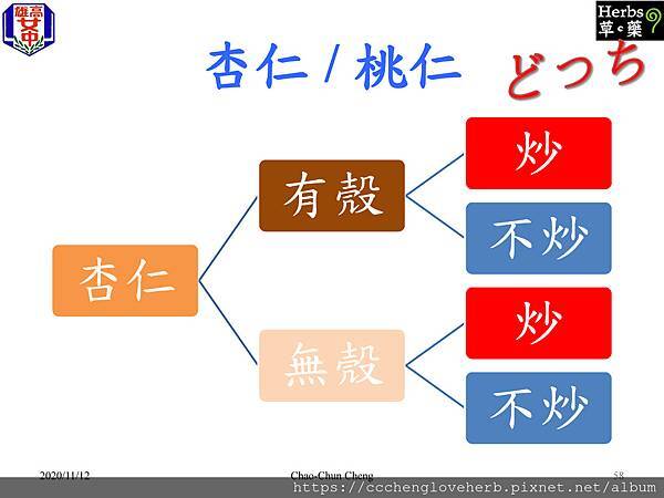 以杏仁的苦杏仁苷來聊中藥炮製的目的。(殺酶保苷的概念)