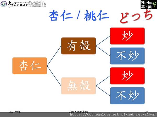 堅果中藥學--杏仁.桃仁