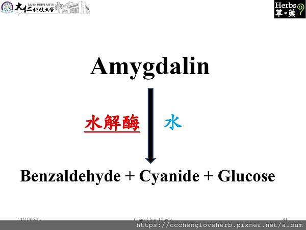 Amygdalin水解