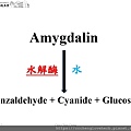 Amygdalin水解