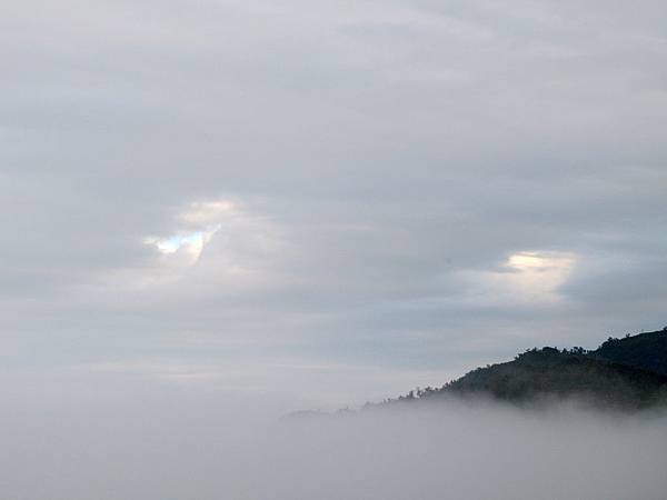 OK阿里山 茶山 雲深處 (42).jpg