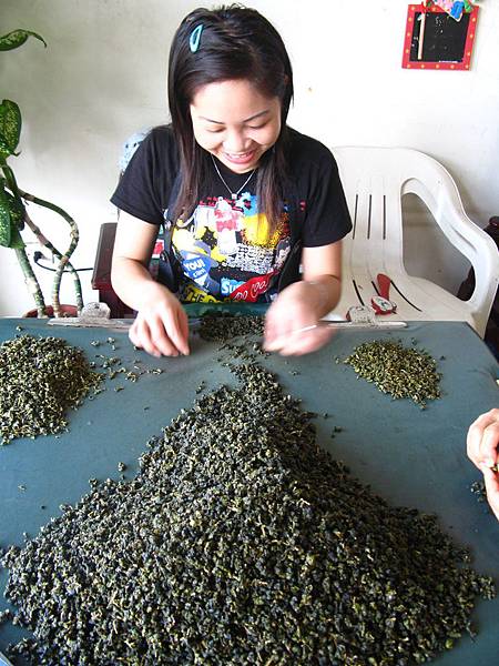 挑茶 挑茶