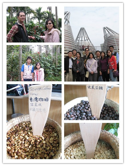 台灣蜜處理 台灣蜜處理