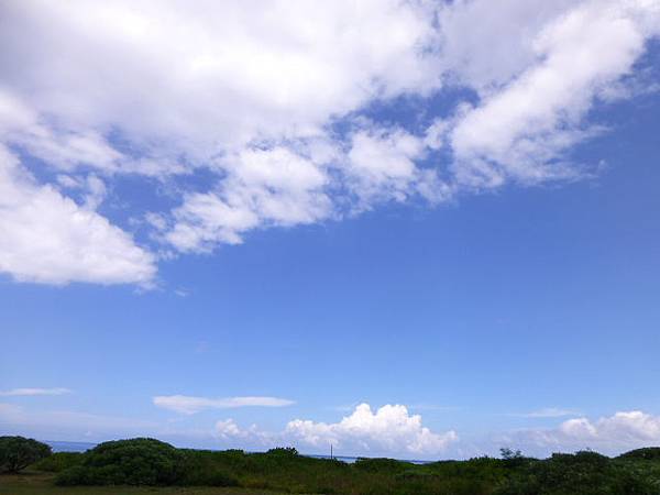 2014.06.28.29花蓮  我來了 381.jpg