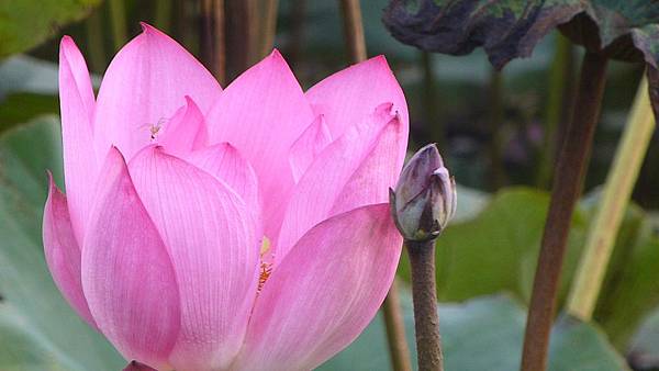 201407B 317.jpg 201407B 317.jpg