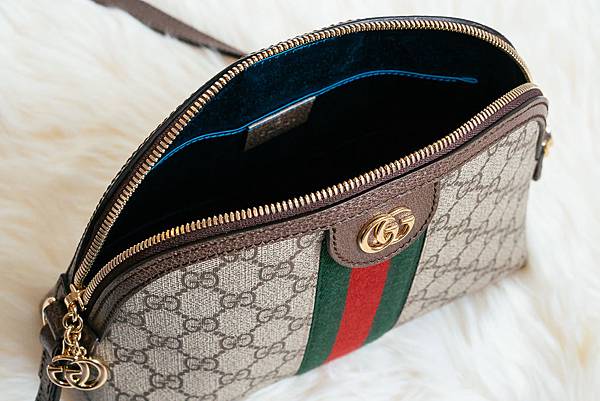 Gucci-Ophidia-Details-1.jpg