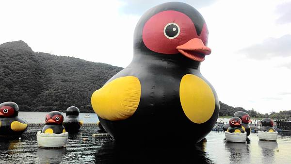 P_20170713_165428 P_20170713_165428