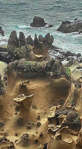 12088174_1039711776047340_741272113135370719_n.jpg 12088174_1039711776047340_741272113135370719_n.jpg