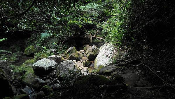 P_20180315_103426.jpg P_20180315_103426.jpg