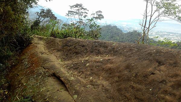 P_20180315_095417.jpg P_20180315_095417.jpg