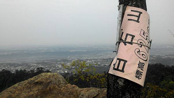 P_20180315_094907.jpg P_20180315_094907.jpg