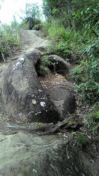 P_20180315_094031.jpg P_20180315_094031.jpg