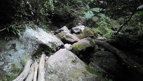 P_20180315_084937.jpg P_20180315_084937.jpg